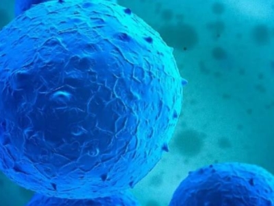 再傳喜訊！達博生物“人臍帶間充質(zhì)干細(xì)胞注射液”獲臨床試驗?zāi)驹S可