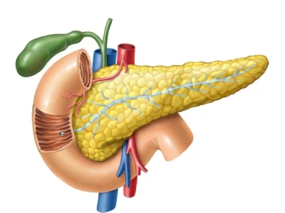 干細(xì)胞為什么可以治療2型糖尿病？
