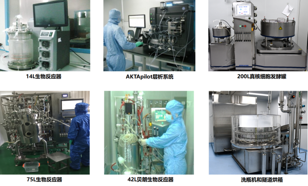 真核細(xì)胞發(fā)酵平臺