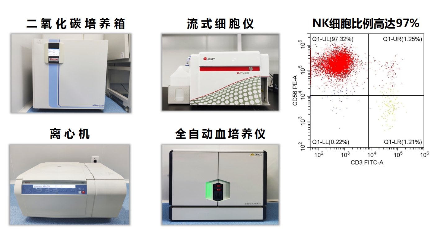 免疫細(xì)胞技術(shù)平臺