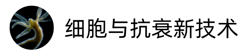 細(xì)胞與抗衰新技術(shù)