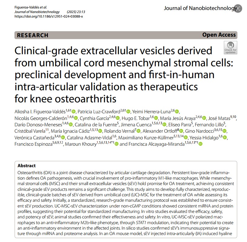 利用間充質(zhì)干細胞外泌體治療膝骨關(guān)節(jié)炎的臨床研究