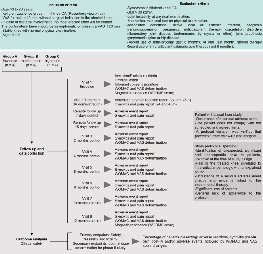臍帶間充質(zhì)干細胞來源的外泌體治療骨關(guān)節(jié)炎臨床數(shù)據(jù)